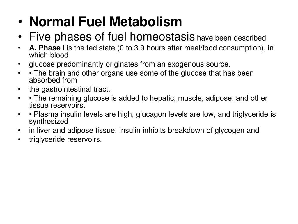 PPT Normal Fuel Metabolism Five phases of fuel homeostasis have been