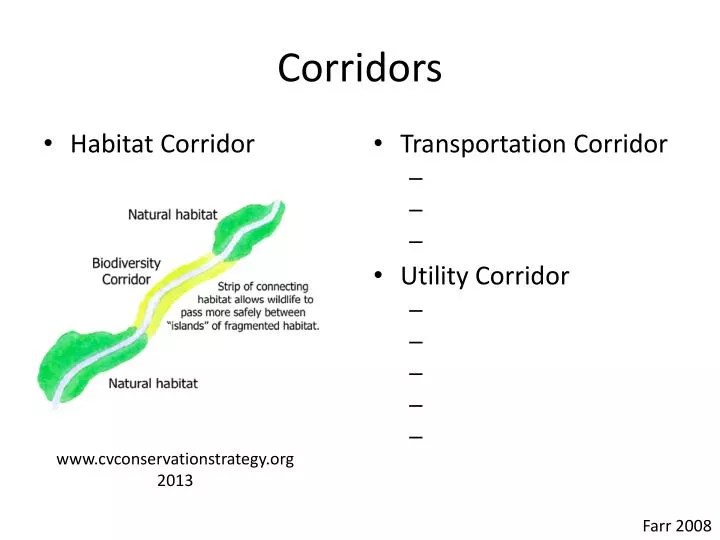 PPT Corridors PowerPoint Presentation, free download ID6749391