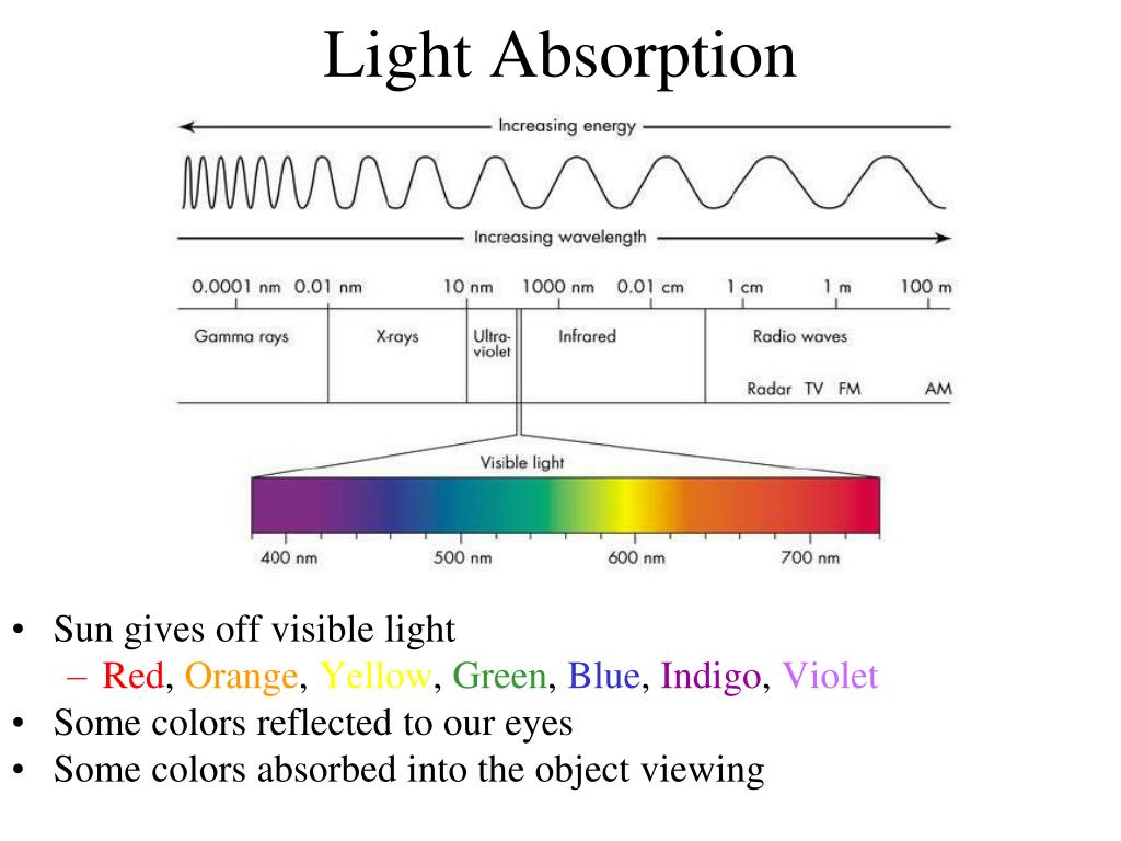 PPT Photosynthesis PowerPoint Presentation, free download ID6767108