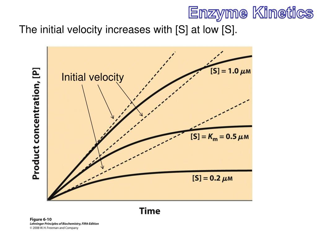 PPT Chapter 12 Enzyme Inhibition, and Control PowerPoint