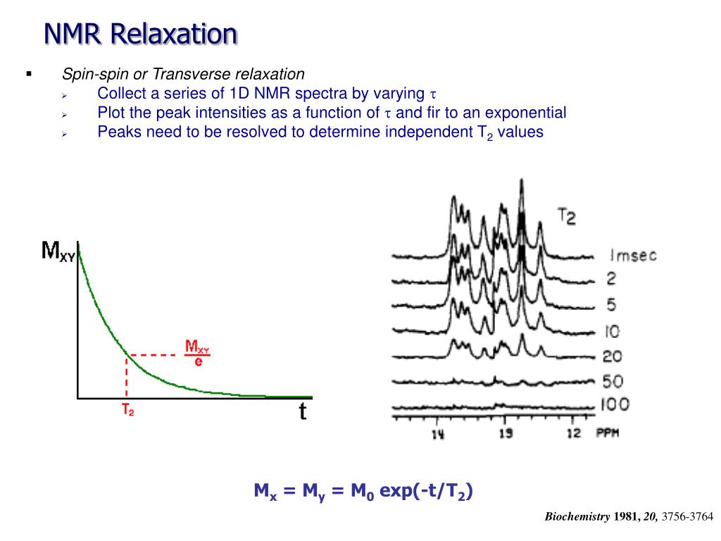 PPT NMR Relaxation PowerPoint Presentation, free download ID6778049