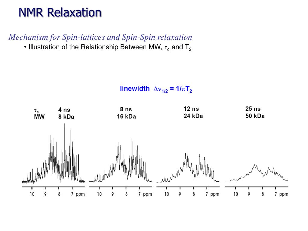 PPT NMR Relaxation PowerPoint Presentation, free download ID6778049