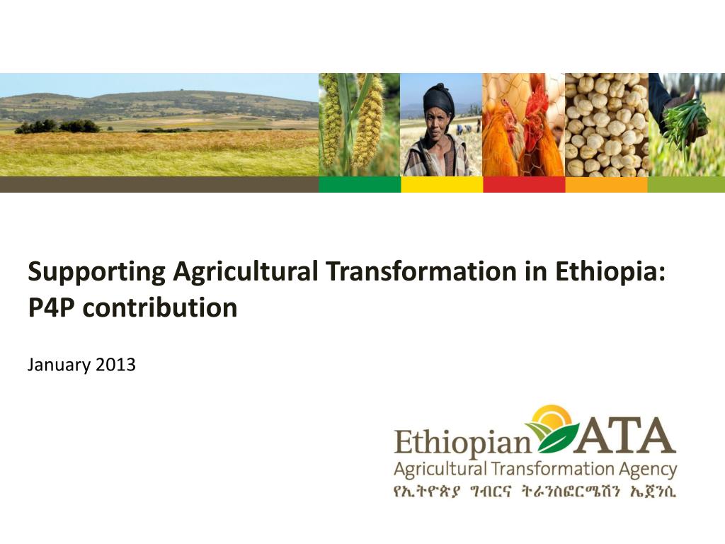PPT Supporting Agricultural Transformation in Ethiopia P4P