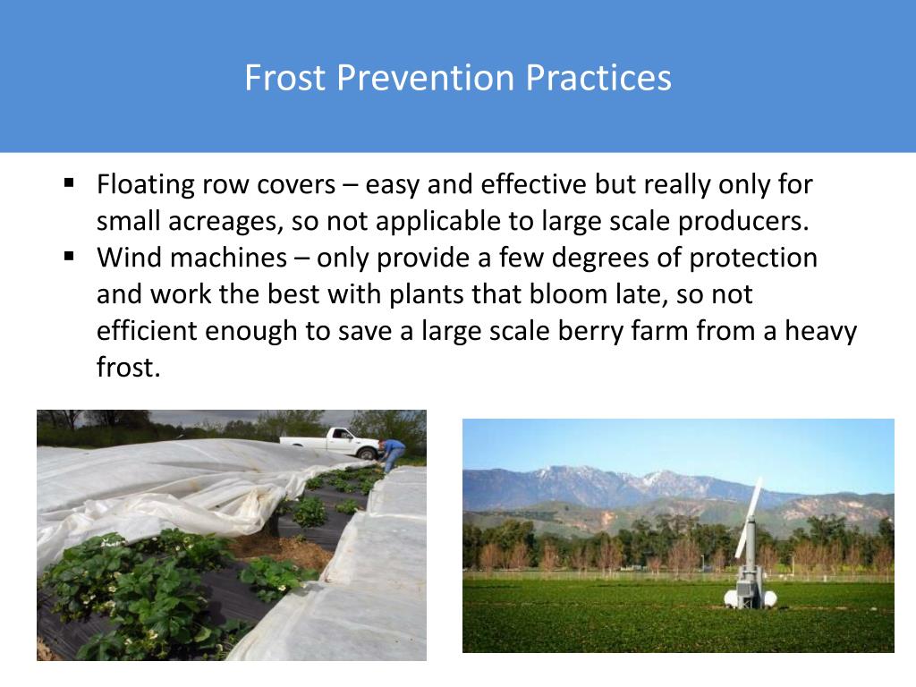 PPT Kirk Emch PowerPoint Presentation, free download ID6781785