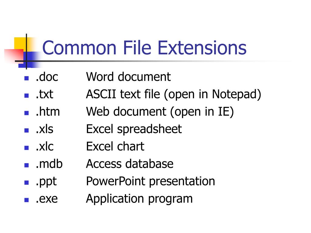 PPT The Windows File System and Windows Explorer PowerPoint