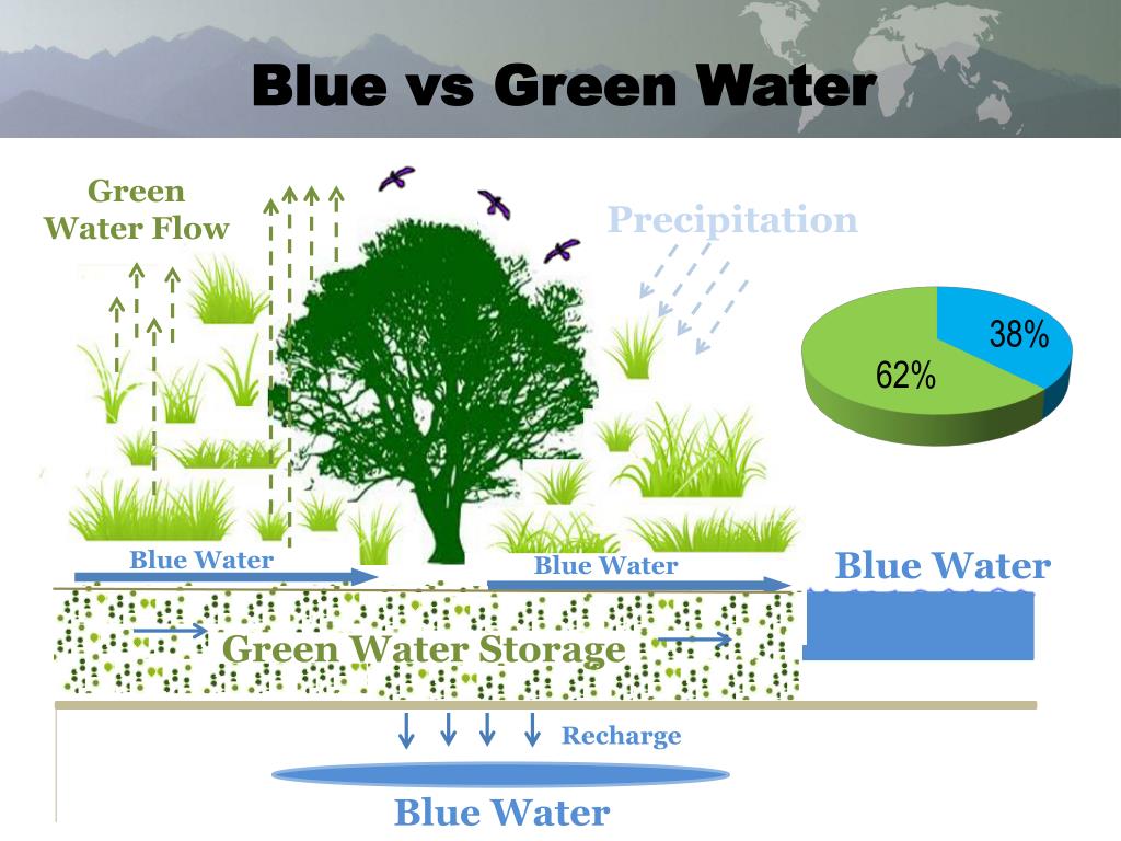 PPT Modeling Green and Blue Water The InVEST Monthly Model