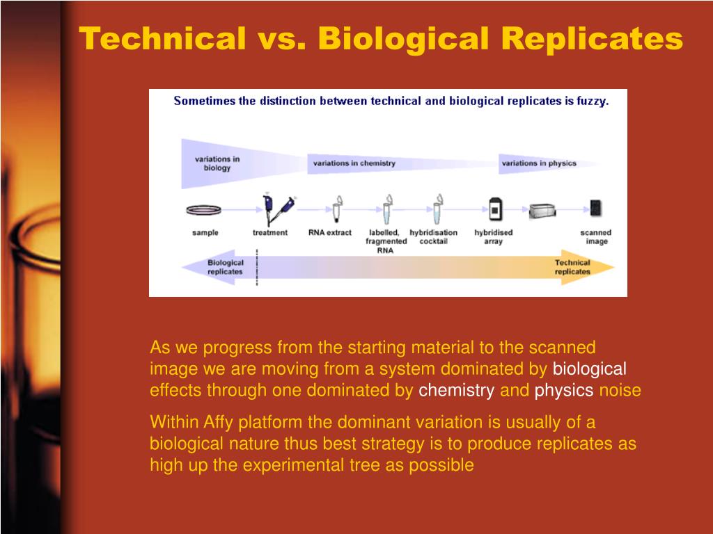 PPT Microarray Data Analysis PowerPoint Presentation, free download