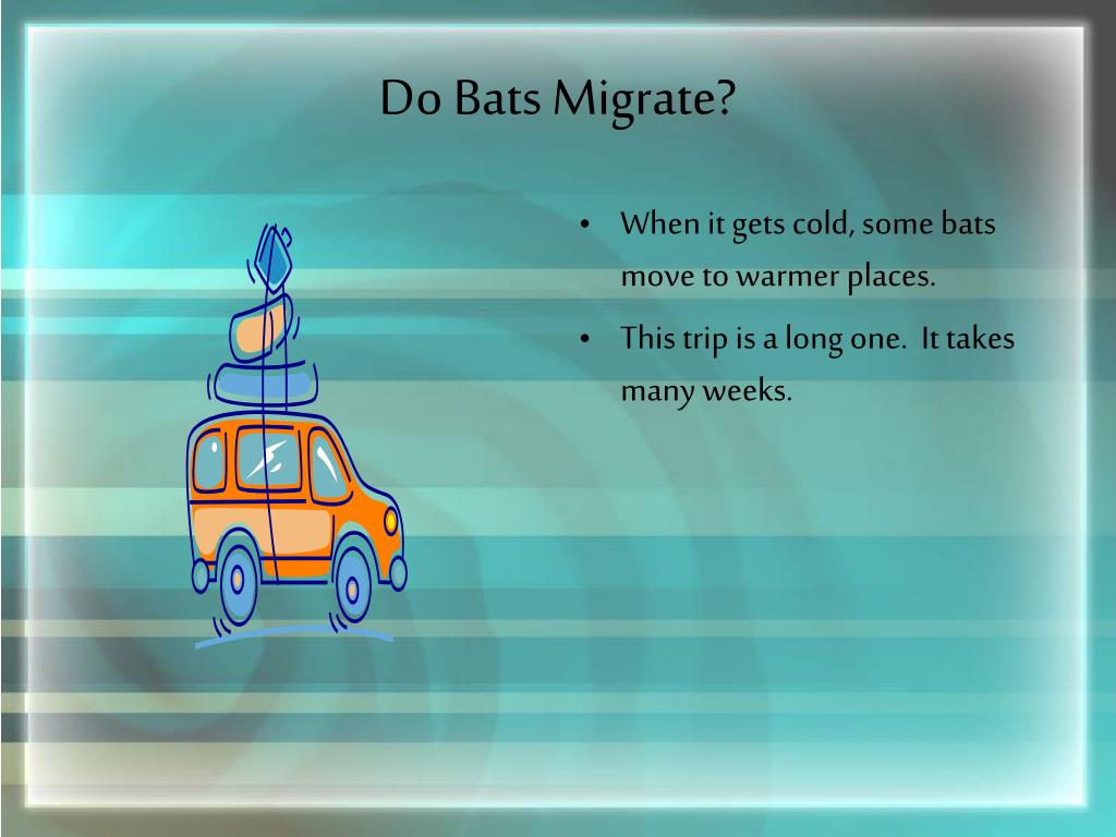 PPT Batty about Bats PowerPoint Presentation, free download ID6786923