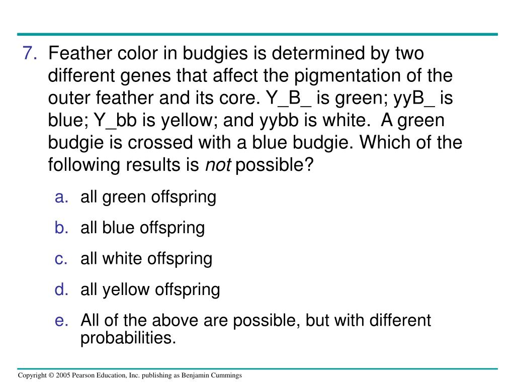 PPT Chapter 13 PowerPoint Presentation, free download ID6789009