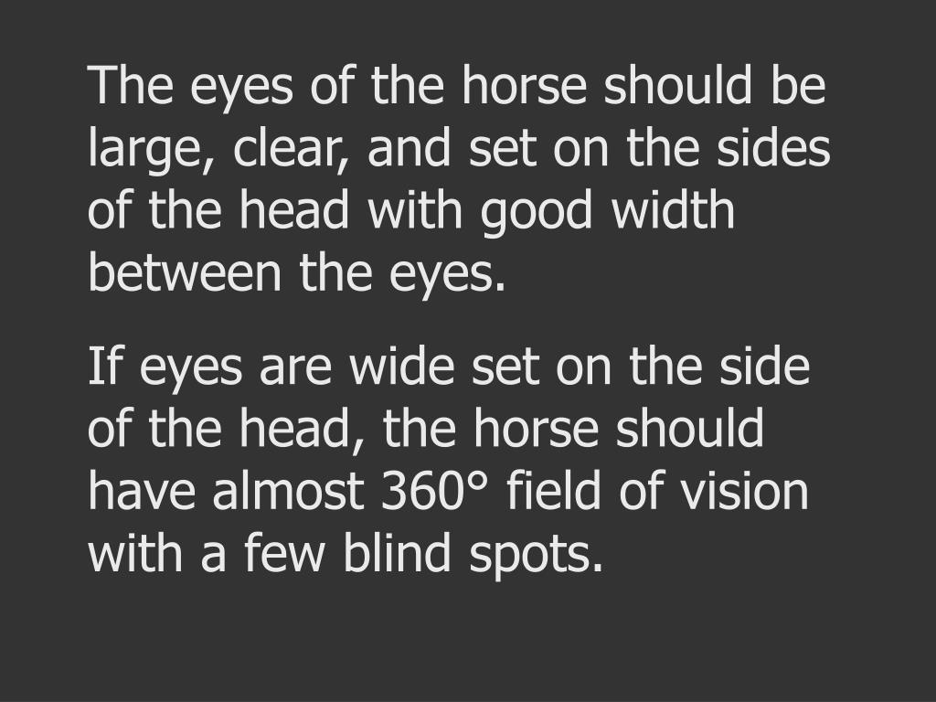 PPT CONFORMATION OF HORSES PowerPoint Presentation, free download