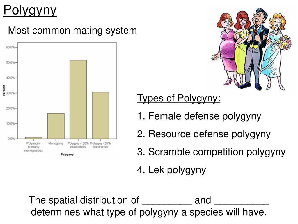 PPT Mating Systems PowerPoint Presentation, free download ID6798205