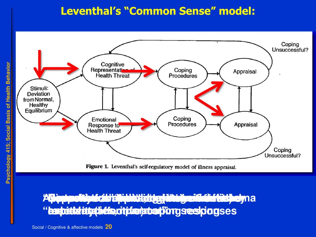 Latest Regulation Self Regulation Model Leventhal