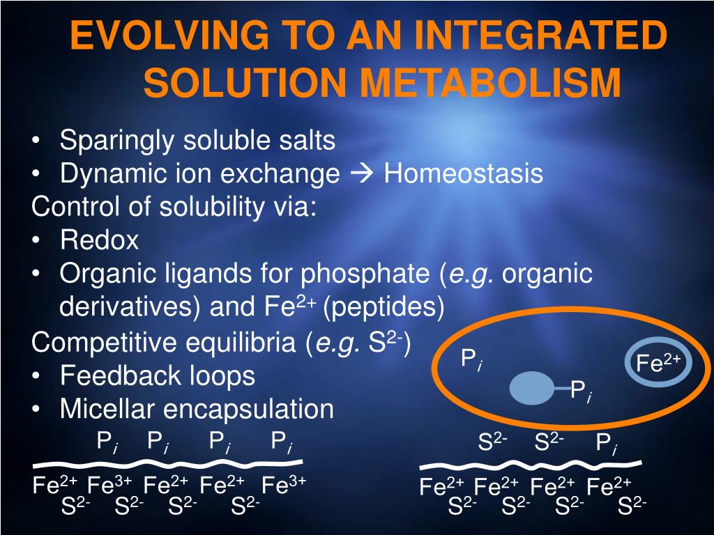 PPT Darwin, Chemistry and the Origin of Life PowerPoint Presentation ID6802617