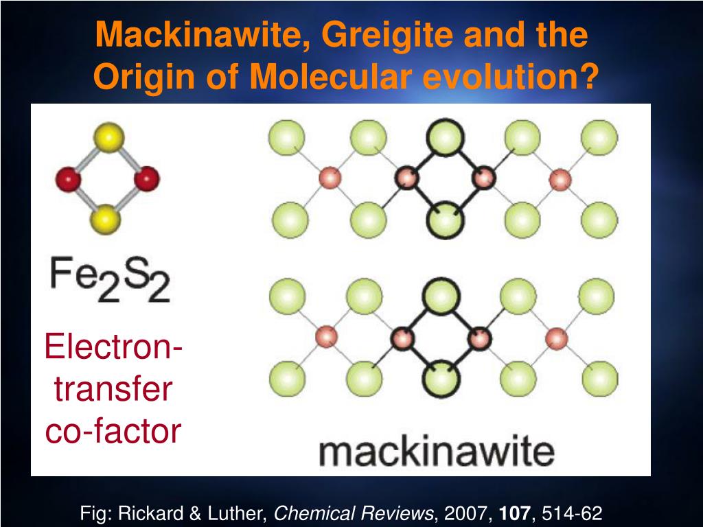 PPT Darwin, Chemistry and the Origin of Life PowerPoint Presentation ID6802617