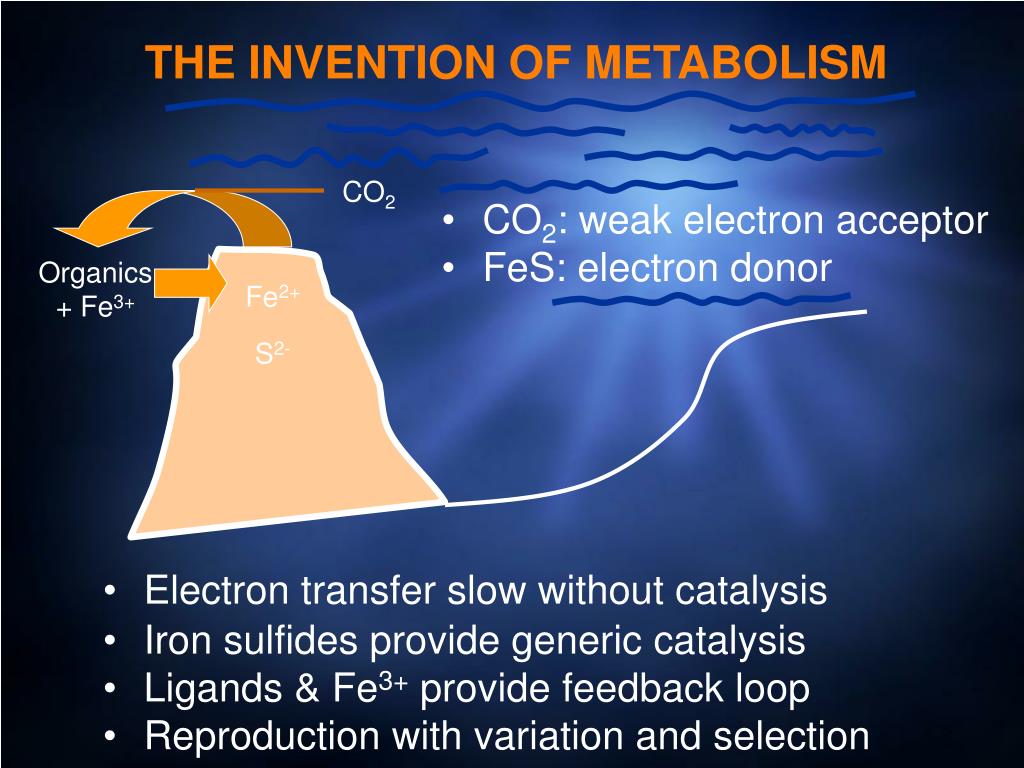 PPT Darwin, Chemistry and the Origin of Life PowerPoint Presentation ID6802617