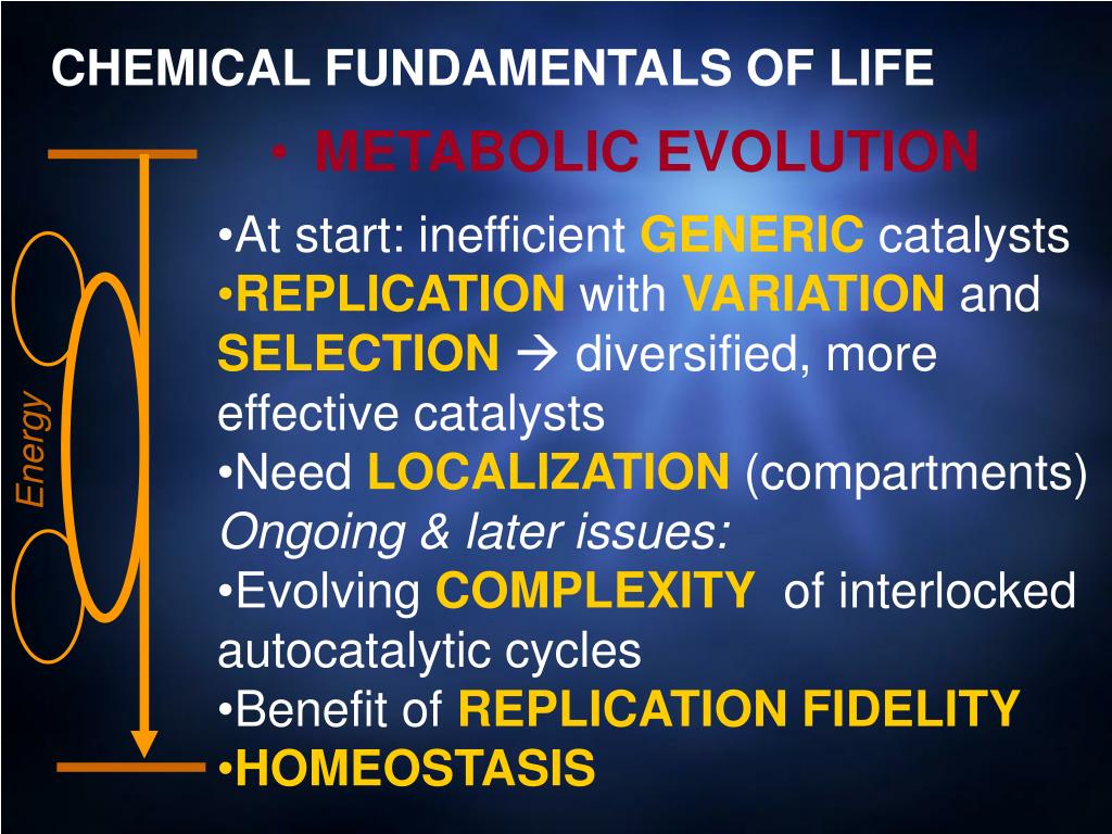 PPT Darwin, Chemistry and the Origin of Life PowerPoint Presentation ID6802617