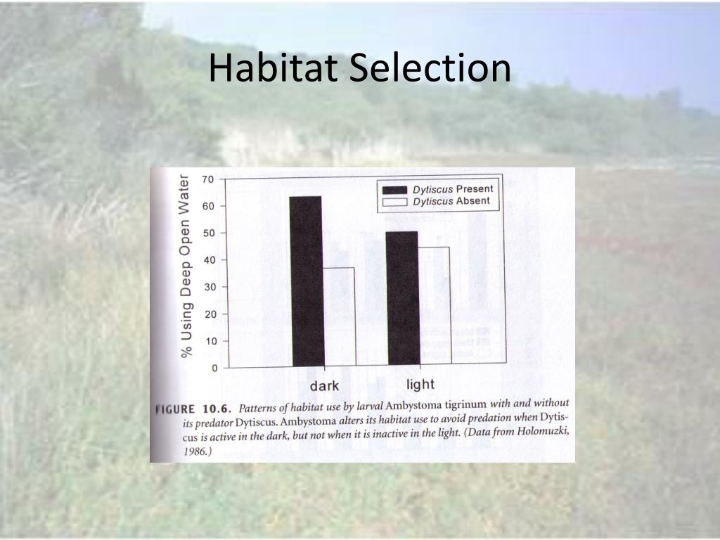 PPT Habitat Selection PowerPoint Presentation, free download ID6803606