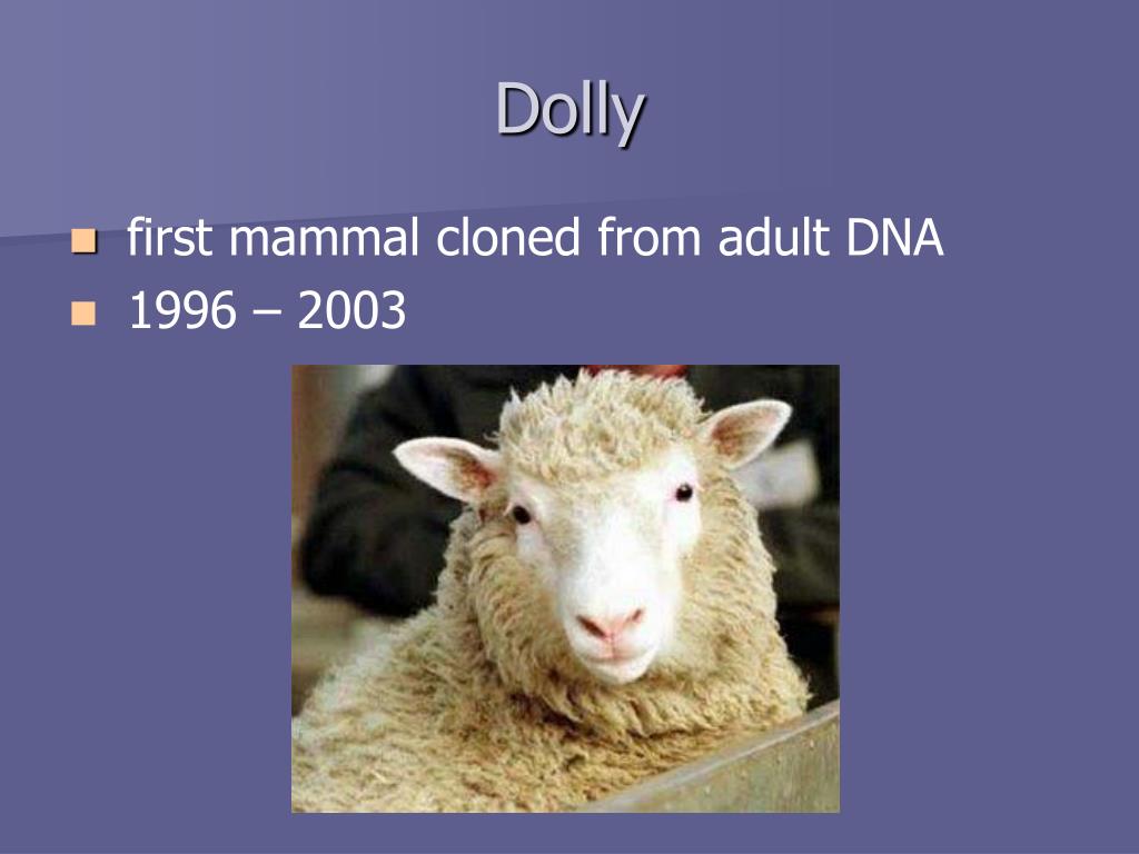 PPT The Pros and Cons of Cloning PowerPoint Presentation, free