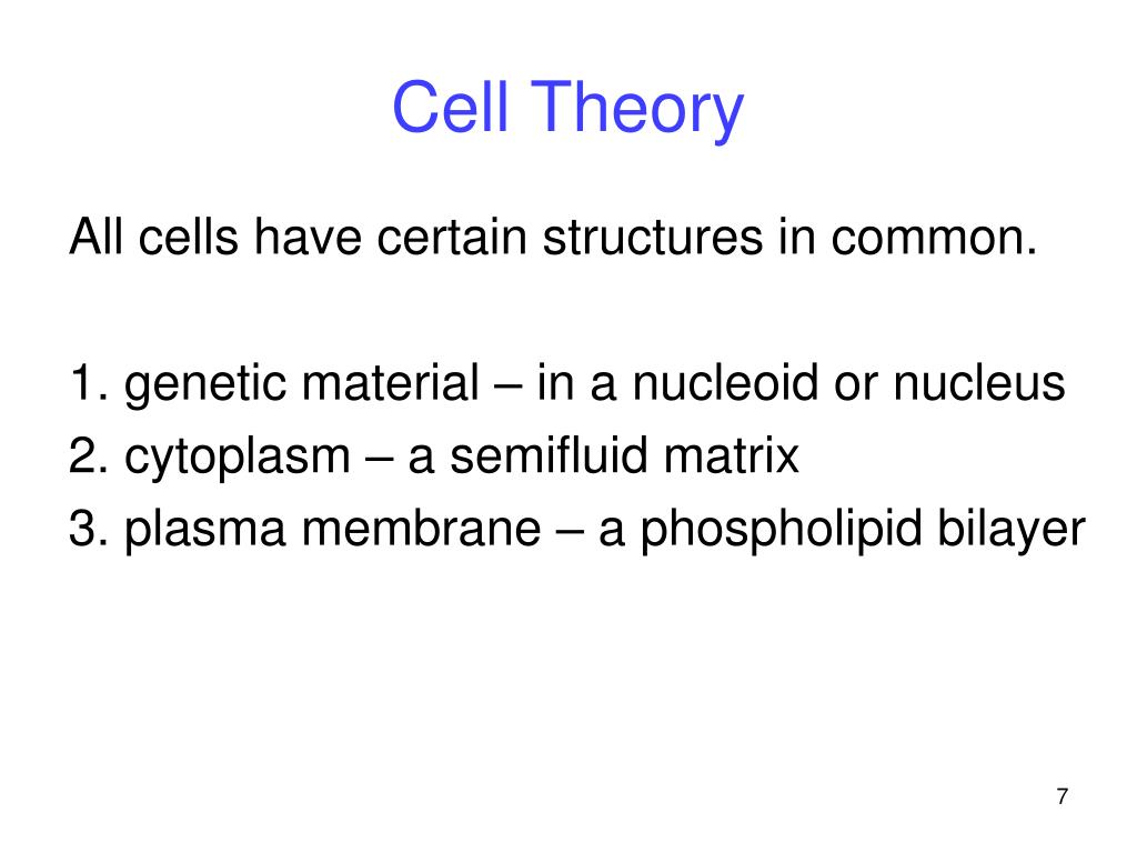 PPT Cell Structure PowerPoint Presentation, free download ID6807311