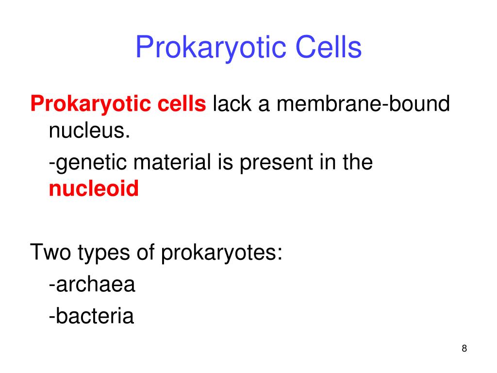 PPT Cell Structure PowerPoint Presentation, free download ID6807311