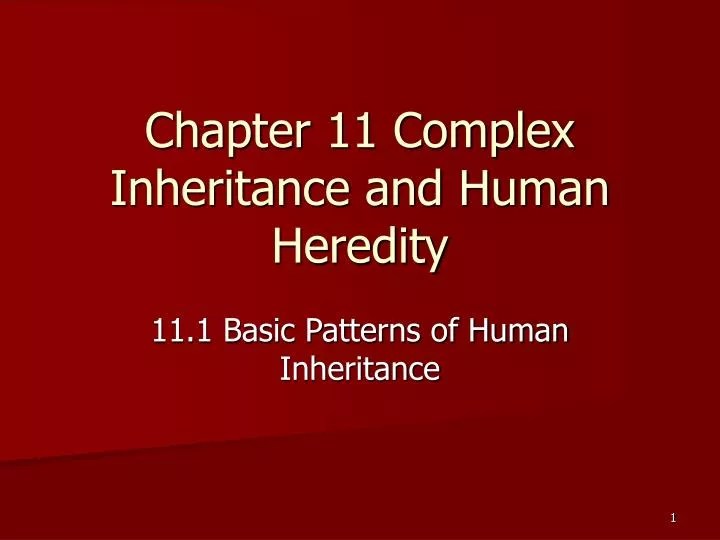 PPT Chapter 11 Complex Inheritance and Human Heredity PowerPoint
