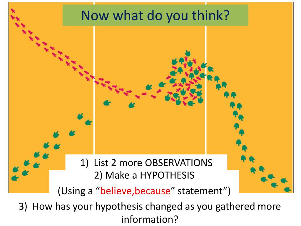 Difference between observation and inference - limeatila