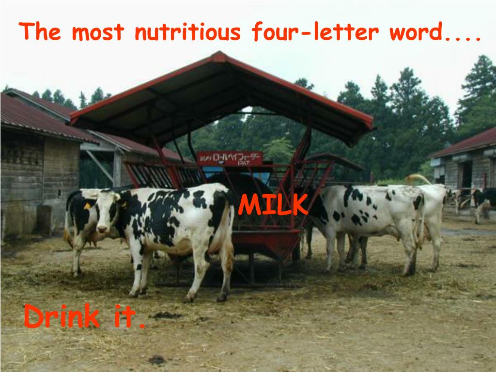 PPT The most selfish oneletter word..... PowerPoint Presentation