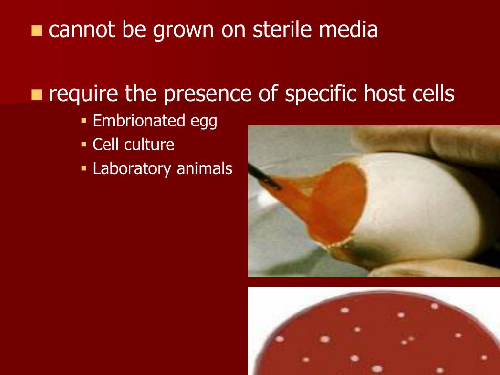 PPT DIAGNOSTIC METHODS IN VIROLOGY PowerPoint Presentation, free download ID6821346