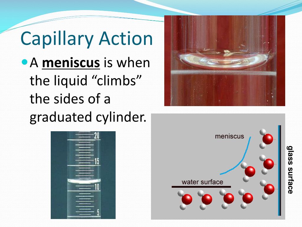 PPT Water Unit PowerPoint Presentation, free download ID6822288
