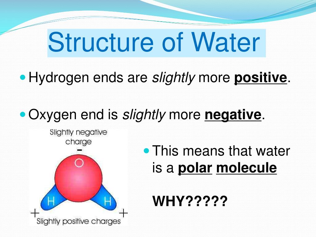 PPT Water Unit PowerPoint Presentation, free download ID6822288