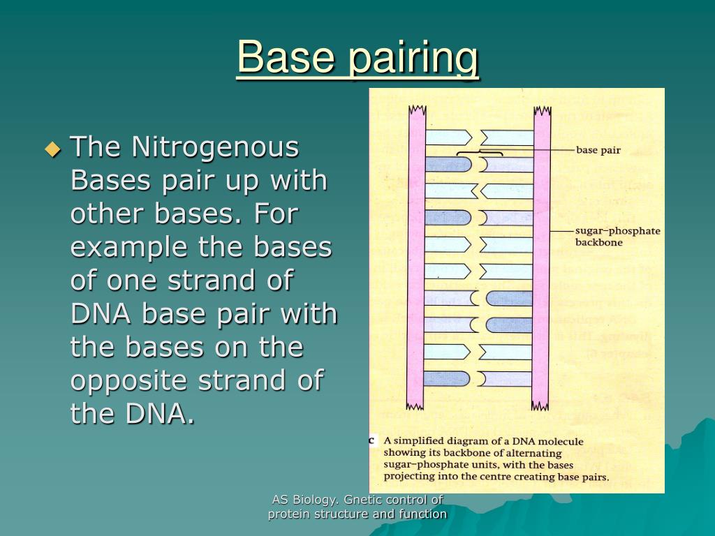 PPT control of protein structure and function PowerPoint