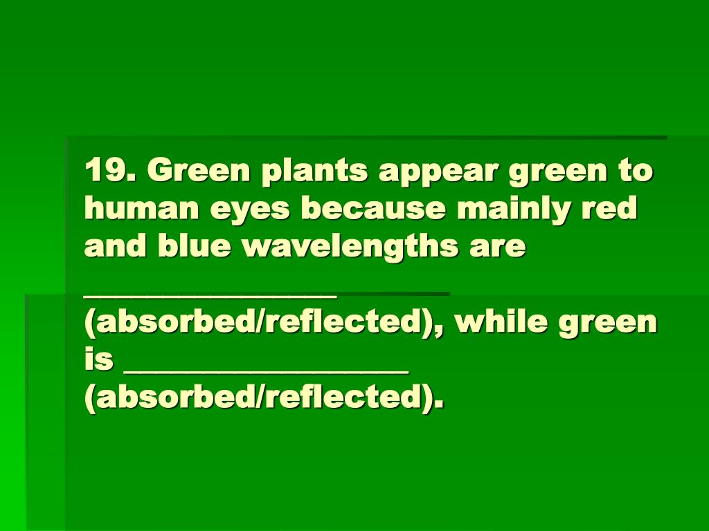 PPT Study Guide Photosynthesis Unit, Biology Standard 1f PowerPoint Presentation ID6824416