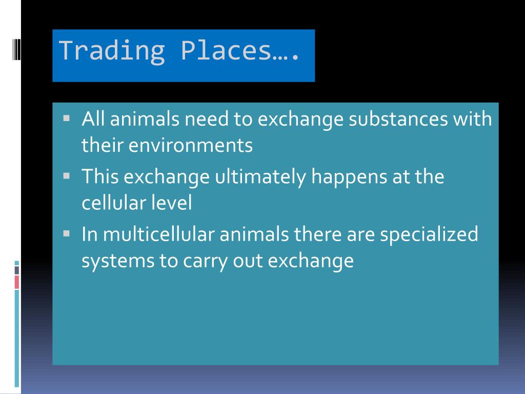 PPT Chapter 42 Circulation & gas exchange PowerPoint Presentation
