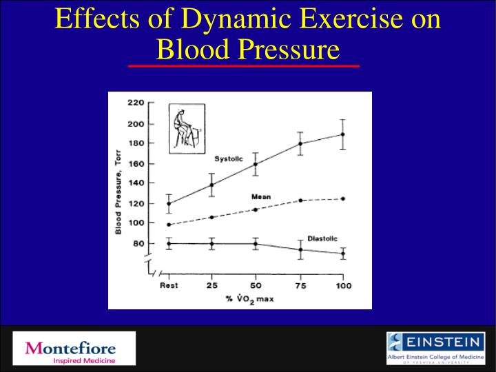 PPT Cardiopulmonary Exercise in the Aging Adult