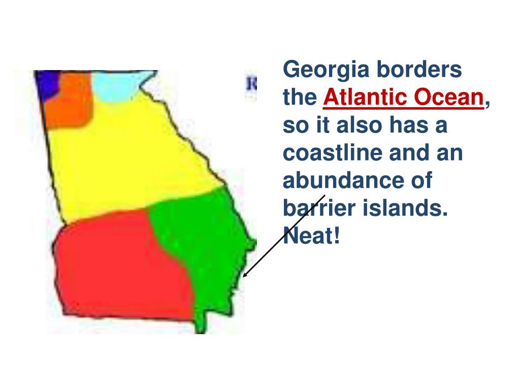 PPT Regions and Habitats Mrs. Martin’s Class PowerPoint