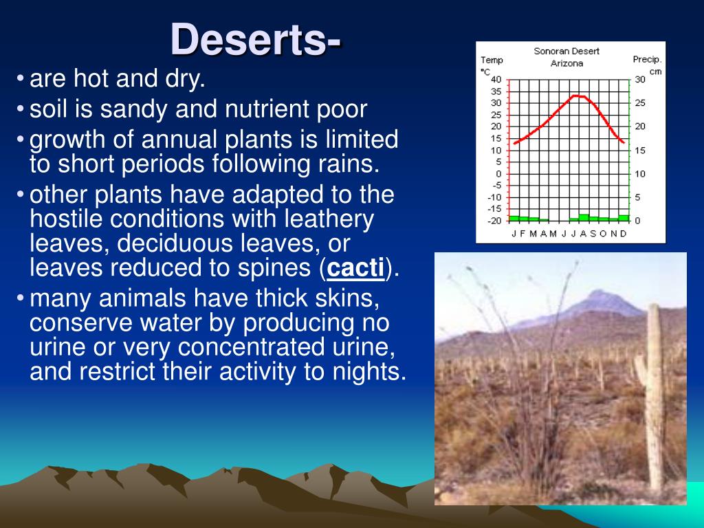 PPT Communities & Biomes PowerPoint Presentation, free download ID