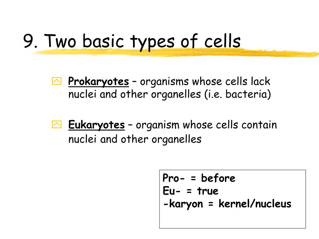PPT Chapter 4 PowerPoint Presentation, free download ID6836825