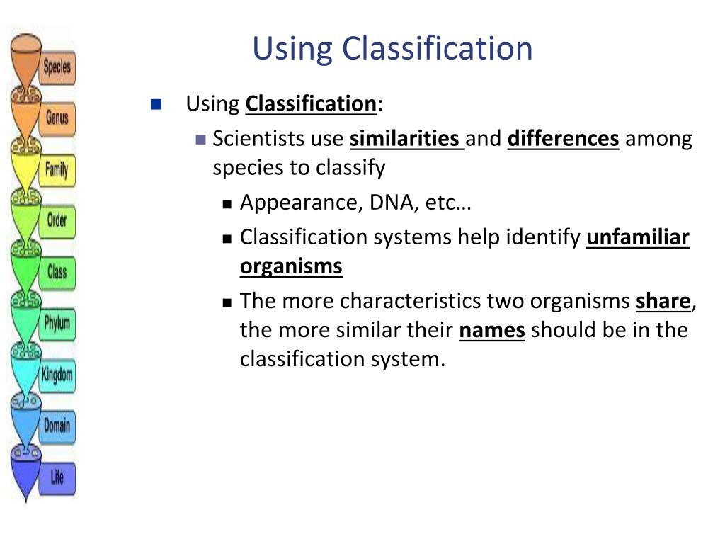 PPT Classification Notes PowerPoint Presentation, free download ID6837405