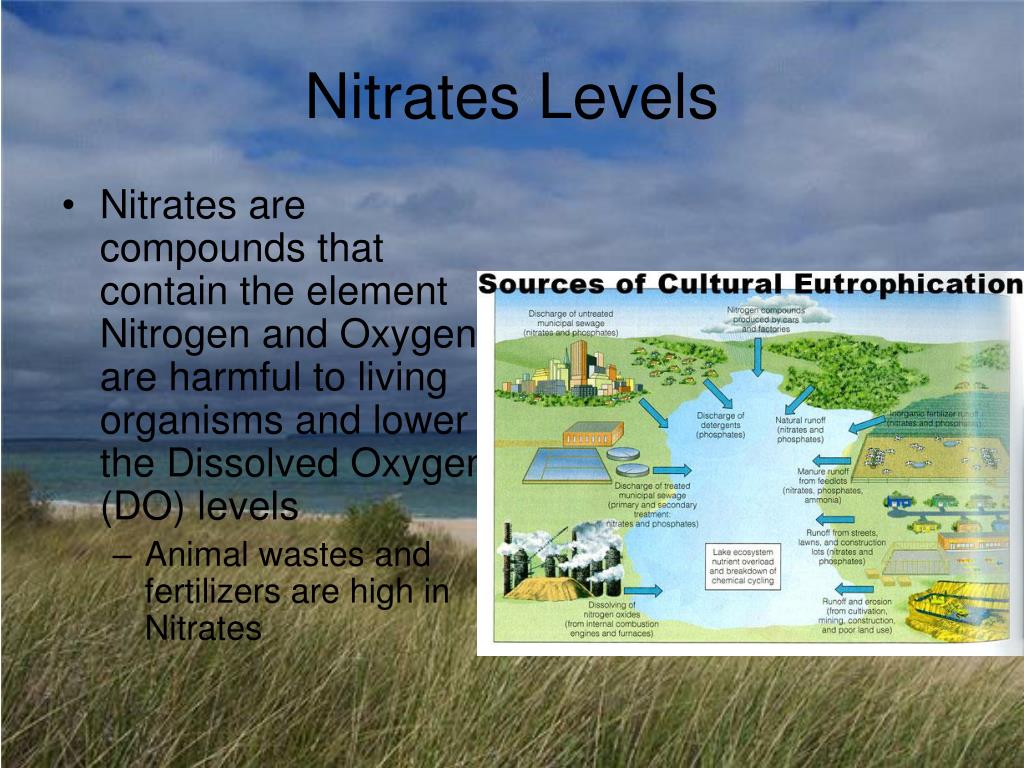 PPT Using Water Wisely PowerPoint Presentation, free download ID