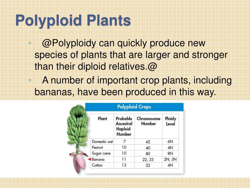 PPT Chapter 15 Engineering 15.1 Selective Breeding