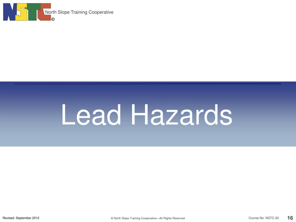 PPT Lead Safety Awareness PowerPoint Presentation, free download ID