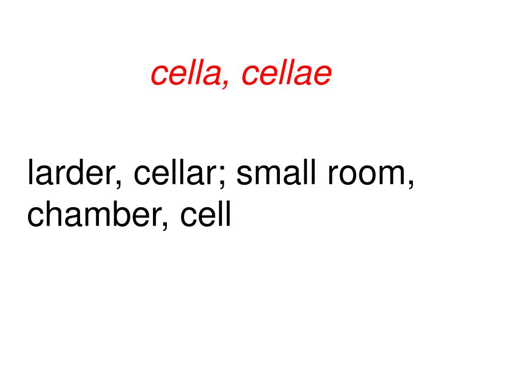 PPT semita, semitae PowerPoint Presentation, free download ID6841832