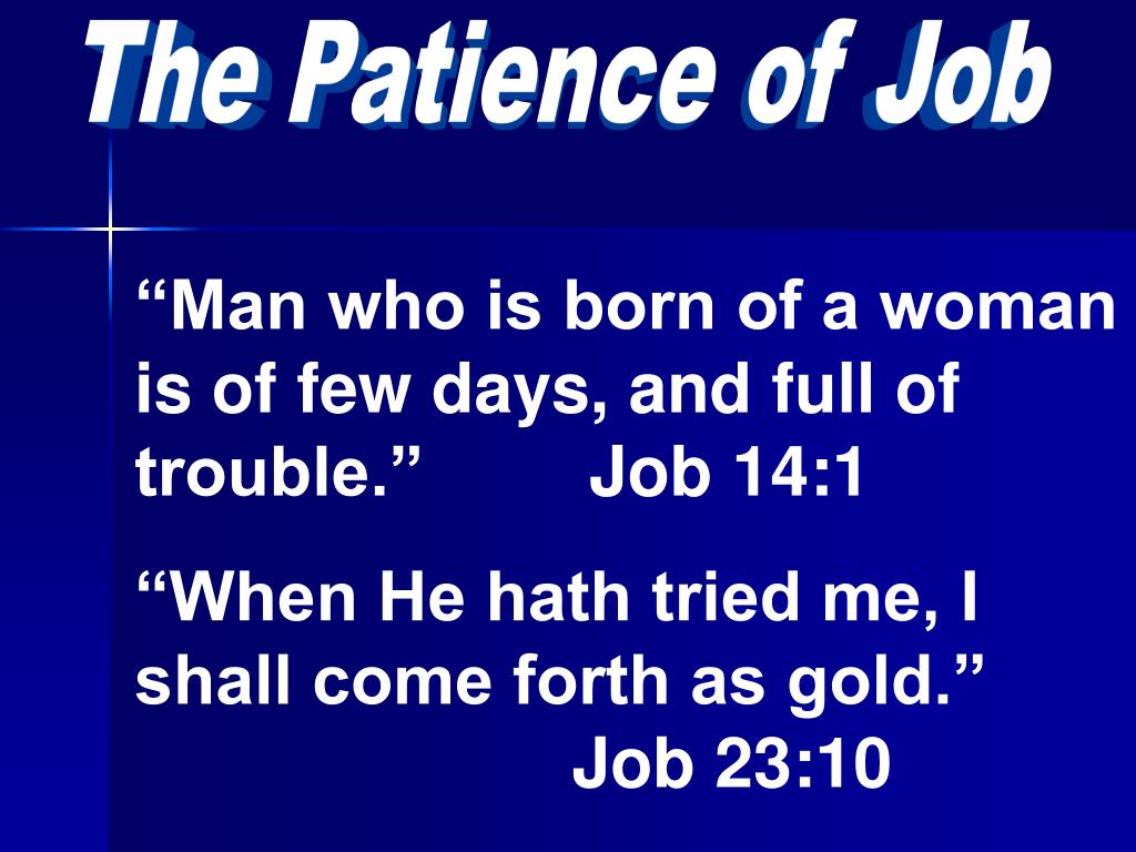 PPT The Patience of Job PowerPoint Presentation, free download ID