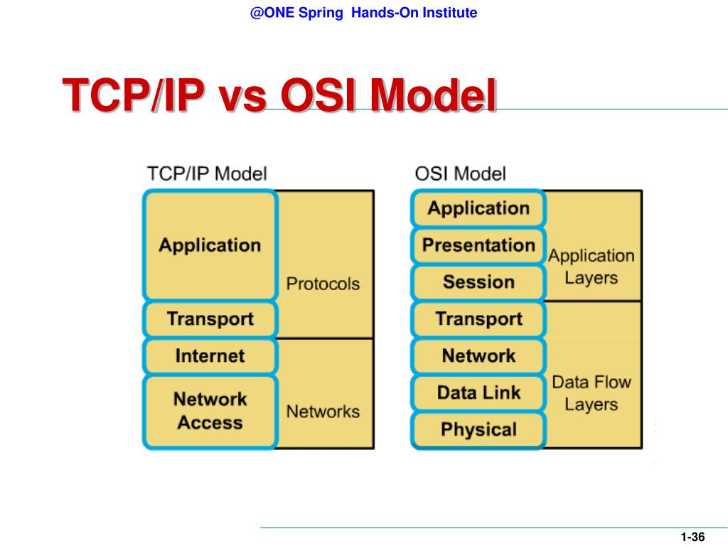 Difference Between Osi And Tcp Ip Model Ppt - zwiastuny-dla-blogow