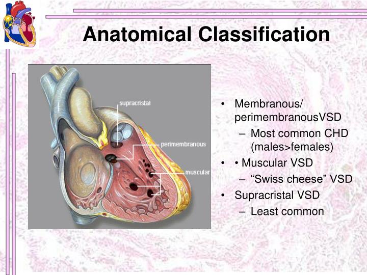 PPT Cardiology Conference PowerPoint Presentation ID6843007