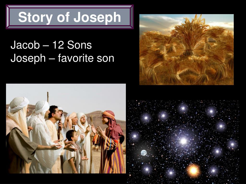 PPT Lessons from PowerPoint Presentation, free download ID6850615