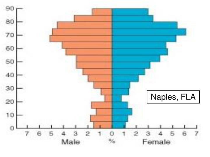 PPT The population pyramid displays the age and sex structure of a