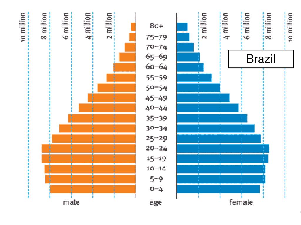 PPT The population pyramid displays the age and sex structure of a