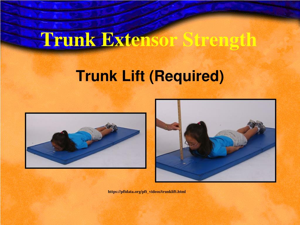 PPT Physical Fitness Test Training Day PowerPoint Presentation, free download ID6859790