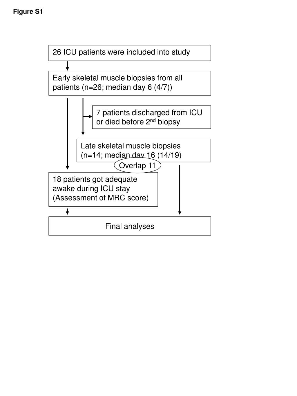 PPT 18 patients got adequate awake during ICU stay (Assessment of MRC